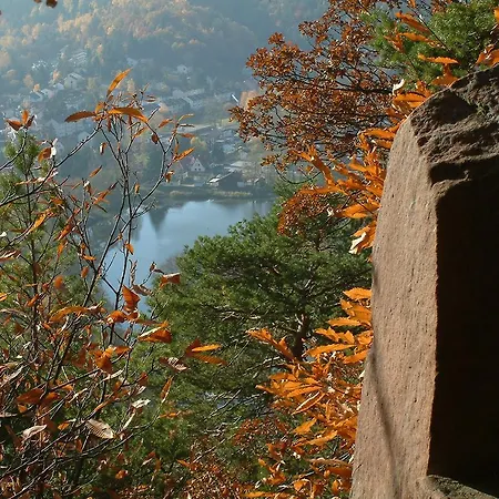 Pensionat Waldhaus Wolfental