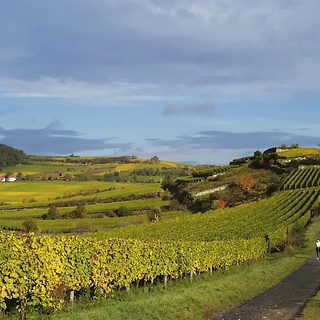 Pensjonat Waldhaus Wolfental Bad Dürkheim