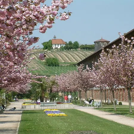 Waldhaus Wolfental Bad Dürkheim