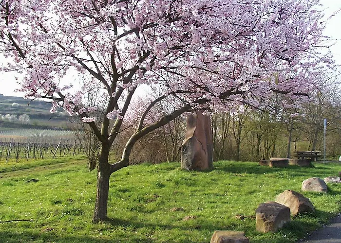 Waldhaus Wolfental Bad Dürkheim