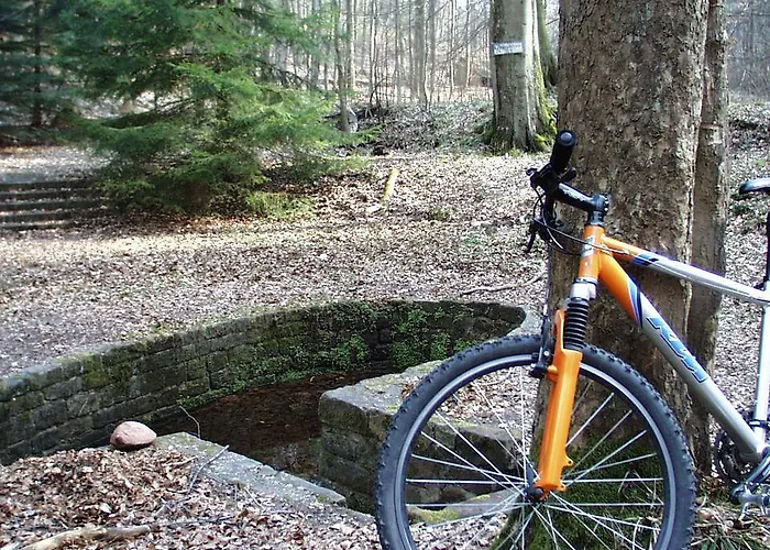 Waldhaus Wolfental Casa de hóspedes 3*