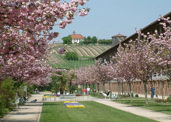 Waldhaus Wolfental 巴特迪克海姆